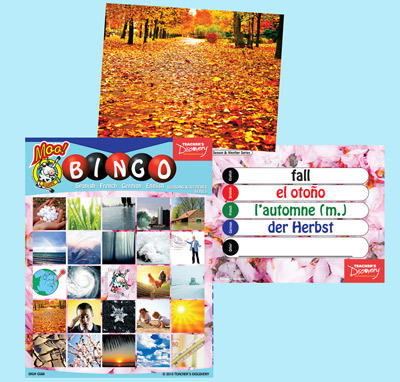 Seasons Weather Bingo Flashcards World Language Teacher S